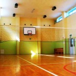 lelice1